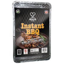 Disposable Picnic BBQ