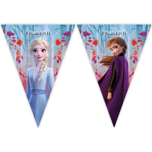 Flag Banner Frozen
