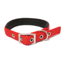 Favour SP Dog Collar 16