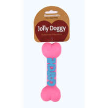 Squeaky Dog Toy 6 Bone