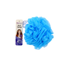 Mesh Sponge