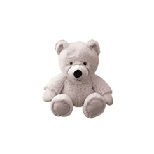 Cozy Time Heatable Bear Toy
