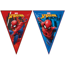 Triangle Flag Banner Spiderman