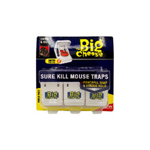 Quick click Mouse Trap