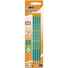 Bic Evo Colour Pencils 12pk